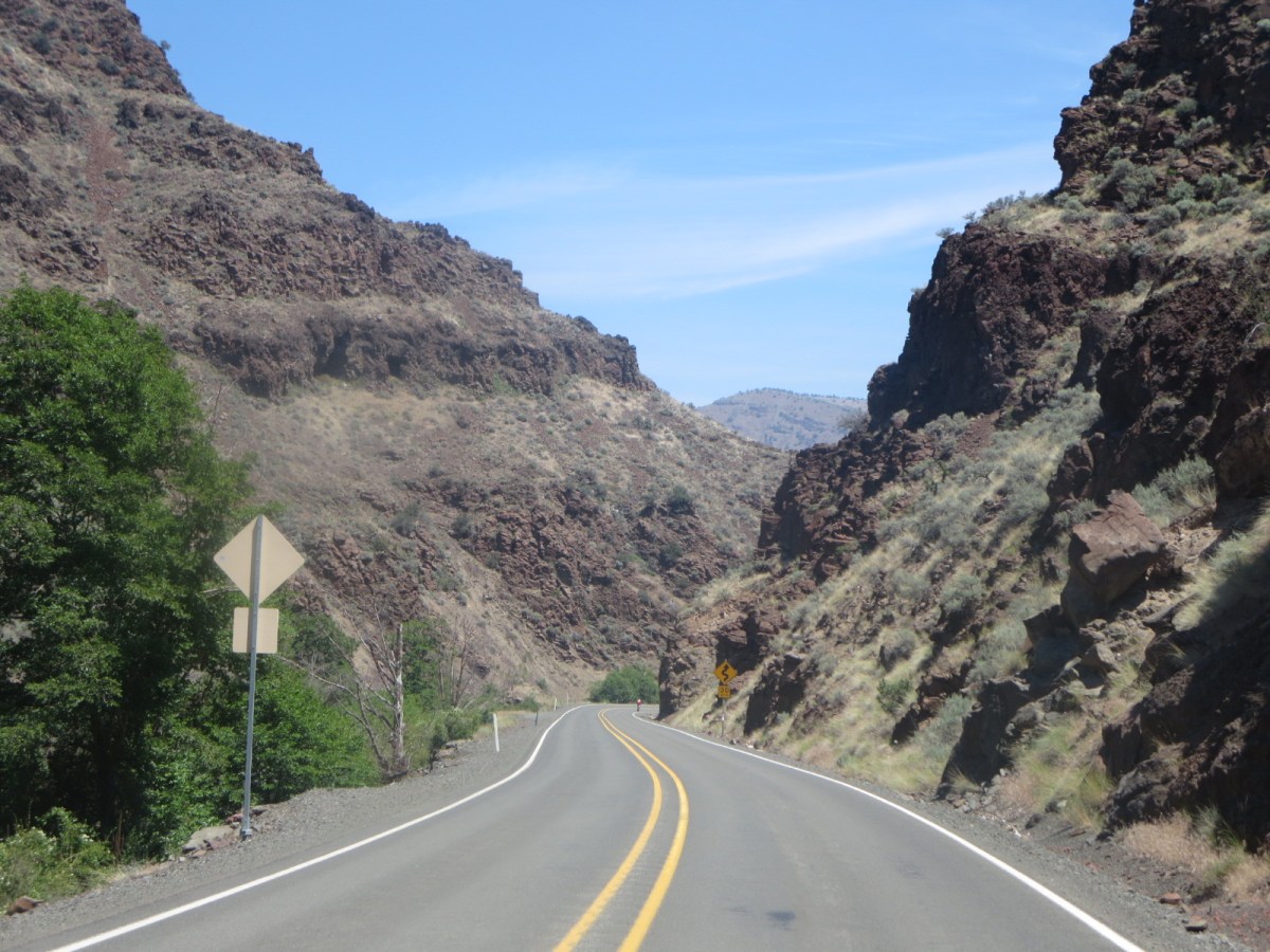 Day 5 – Survivor. Bicycle&nbsp;edition.