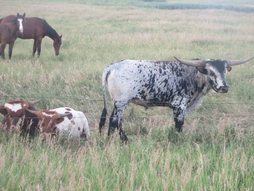 09AA2D3F-98B1-44DA-8E91-80B61D323F5B