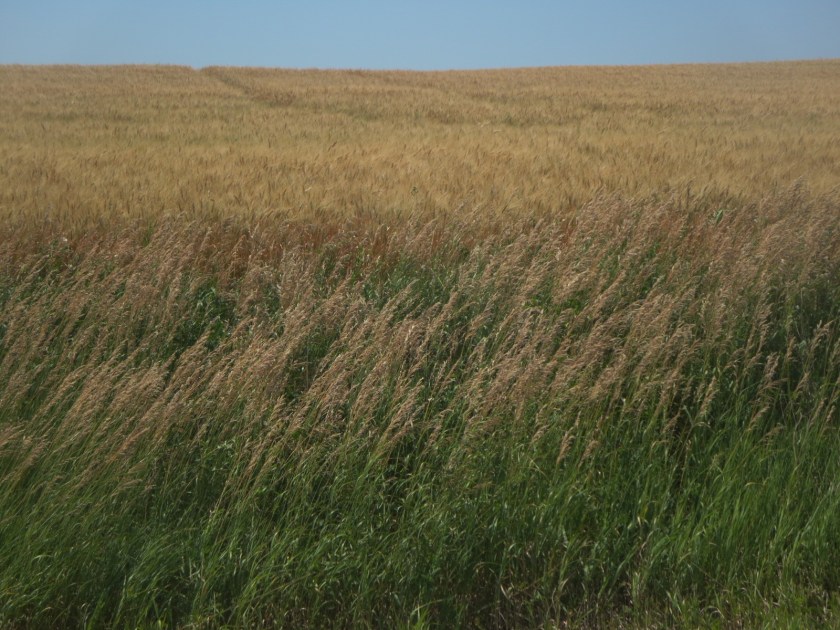 0CC9A0A8-5579-48B3-8D39-884802A84E45