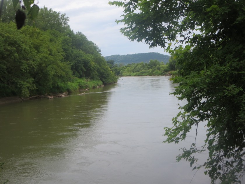 0DC787C5-890D-431B-9688-BB642BDCC93C