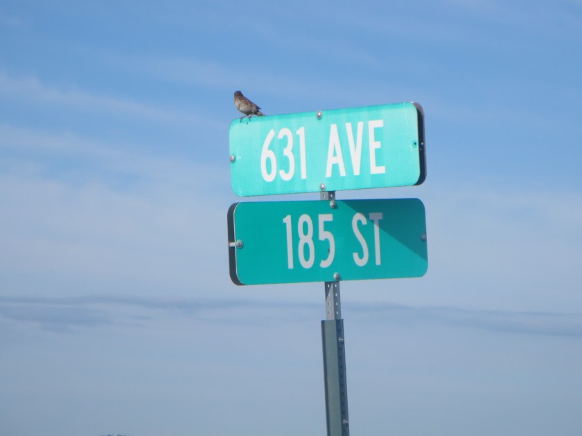 0F67D768-582B-456A-B8A2-F53381D78141