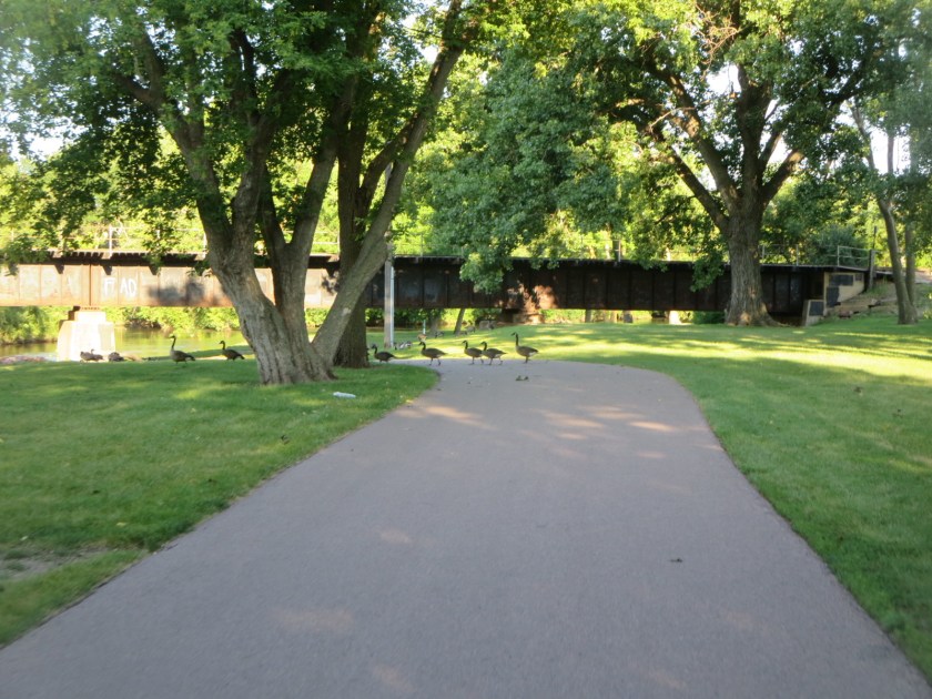 15918F7C-0CE7-4E90-BA78-A96A9EB3CAD2