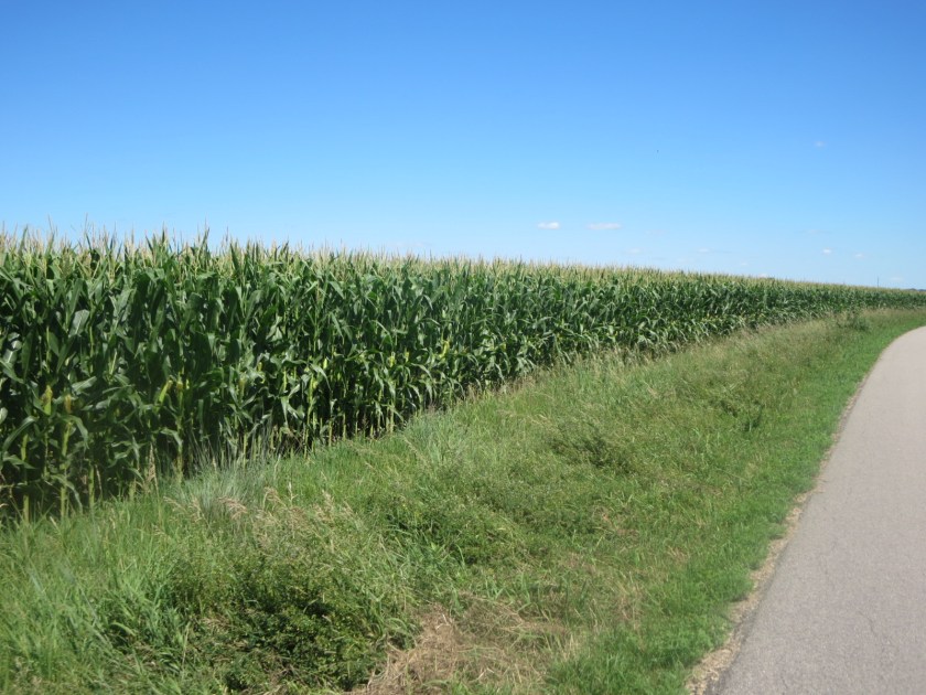 202D377A-900B-4453-B9F8-CB32474442BD