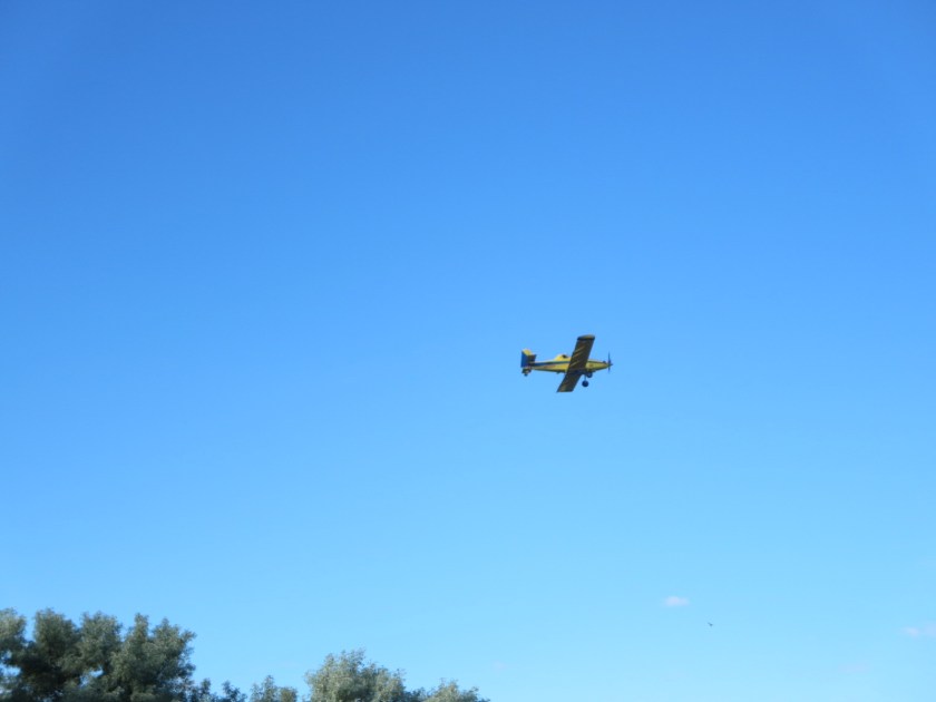 21B63948-265C-4B51-8283-E981BD0671D6