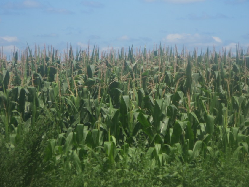 27D70707-F070-486C-B5E2-461CAF2BBA45