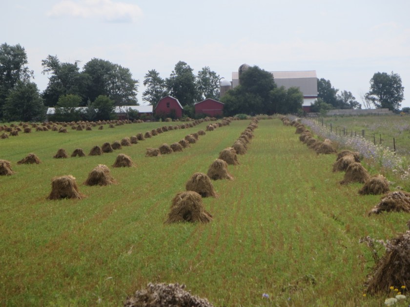 2A6802F3-7700-4F94-AD95-A000334C8DE4