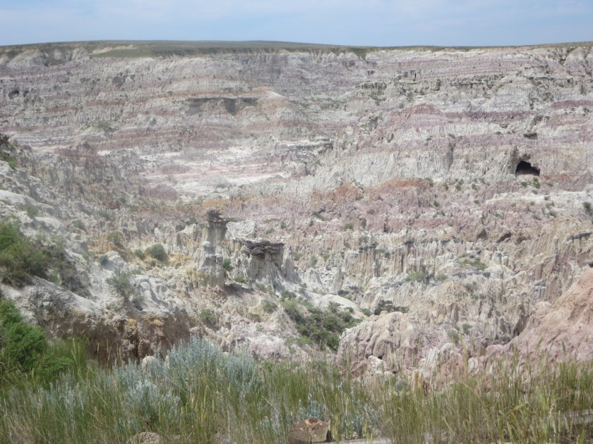 350B2084-8DE2-4032-9508-6F8A29671887