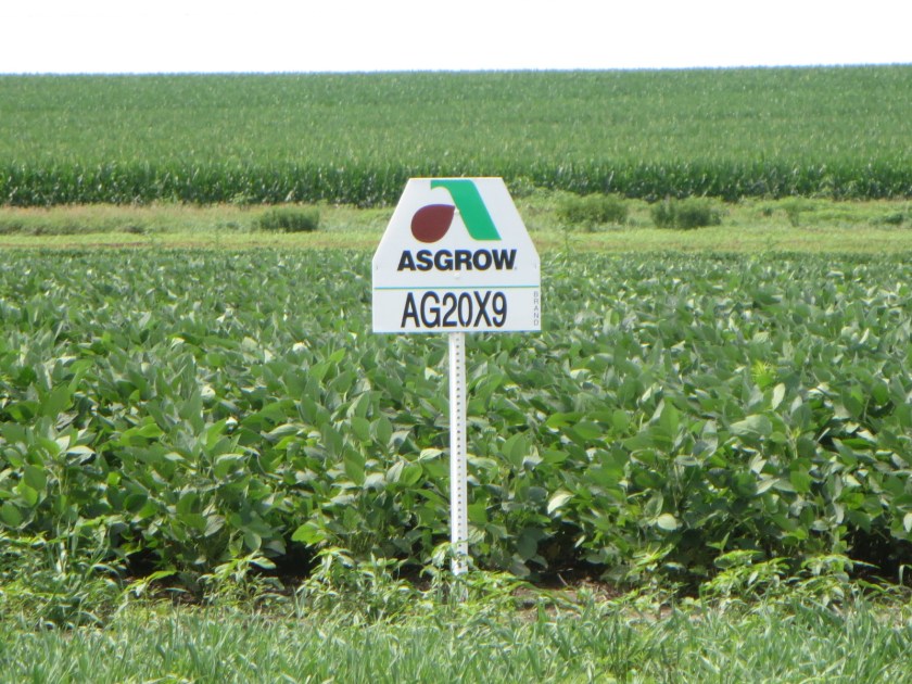 3A1A375B-EA52-44F3-AE82-45C5CEB3BAA8