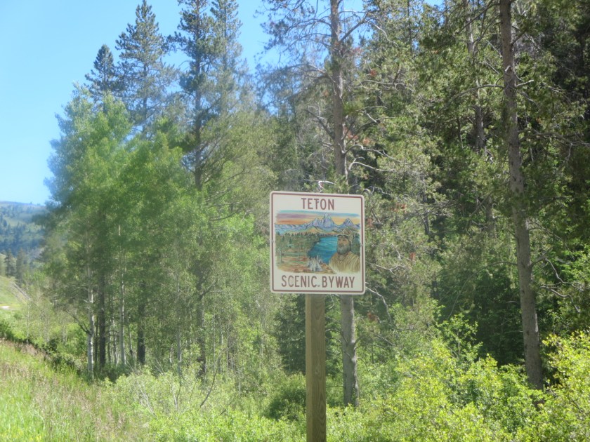 3BEF2C53-5492-43DD-86EA-45CE303CEE5C