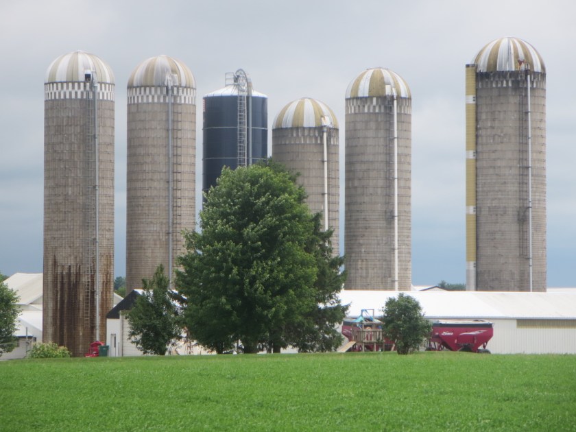 3CA284A8-107C-4F1E-A29A-36DBBB0D52C0