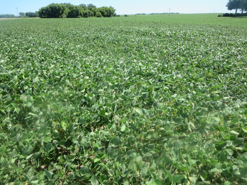 3E9C48ED-F1DD-4033-972C-A7E5388CC51E