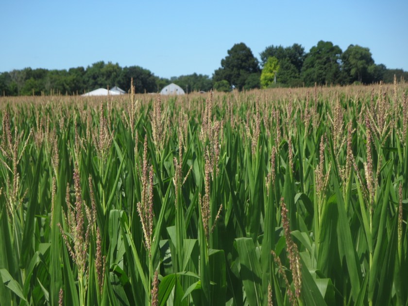 41BA86AD-2BCC-4AB2-BBCD-2170FCCA0C56