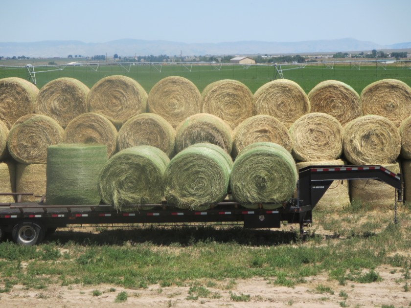 493B854F-59C9-4AF8-B6A8-3130EFB934AB