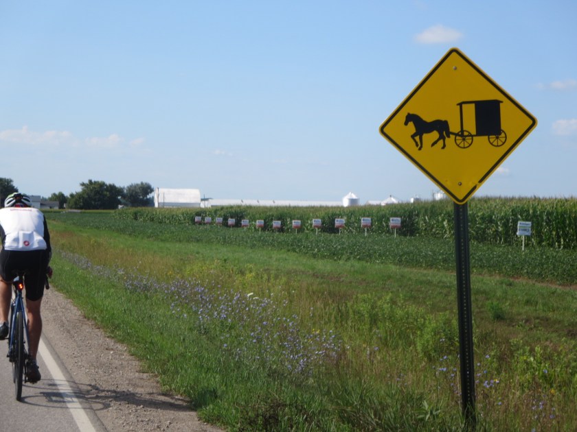 49E1D1EA-EE6E-4F4A-AB7E-3B36A490F941