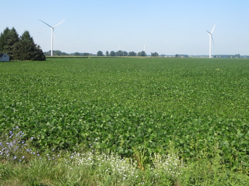 4A41F00B-1E93-4A40-A07C-691682B7E4B8