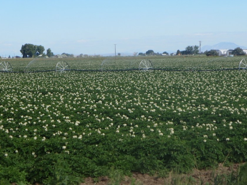 4BB3397B-6A72-4074-8C75-1E54B42033E4