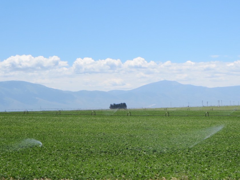 4D1DFB2B-02C8-46CA-9747-4DC681CFFEAB