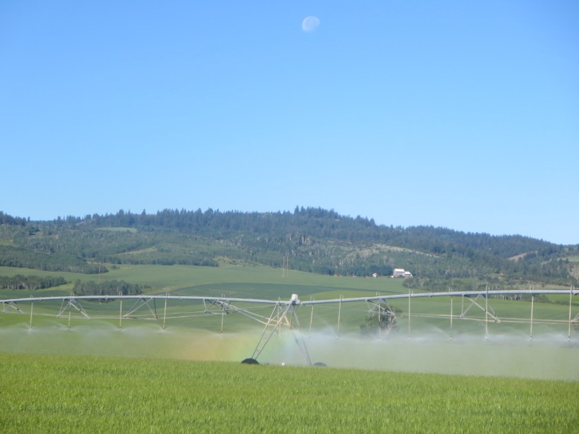 4D422EAB-6E15-44E5-9098-94DF9B293B1D