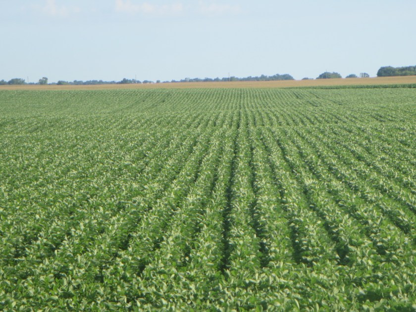 59CAA9C4-FCF0-4615-87F6-847260191F50