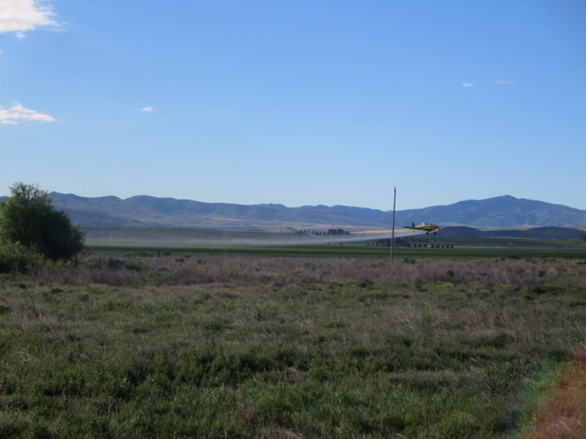 5B659BB2-032E-492D-8BD1-179BDEC4E119