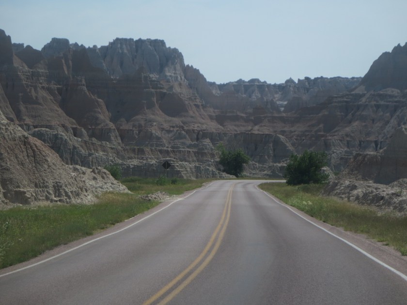 5CE40451-3F8A-4D2C-9DDC-725BECE8A7D3