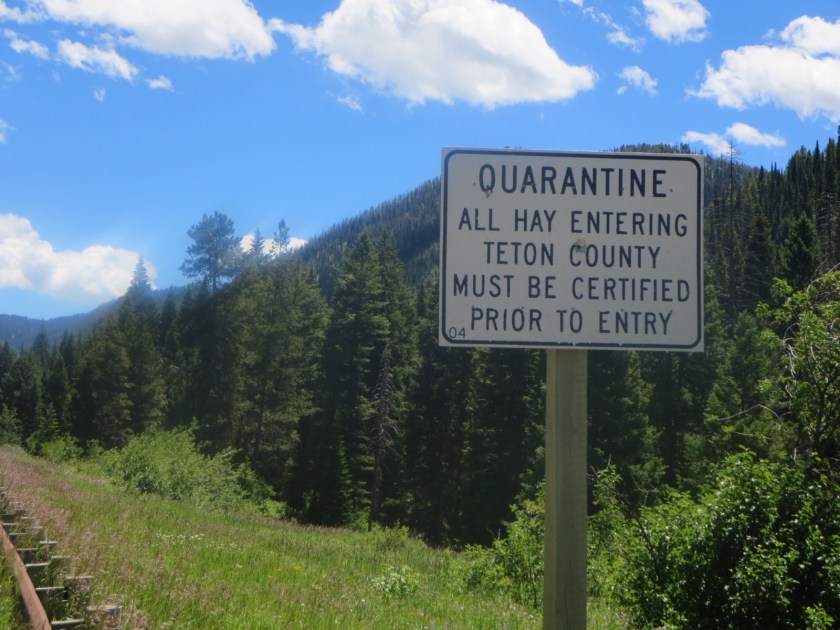 5ED1B85D-C8C9-489C-B7CD-41890EF1E307