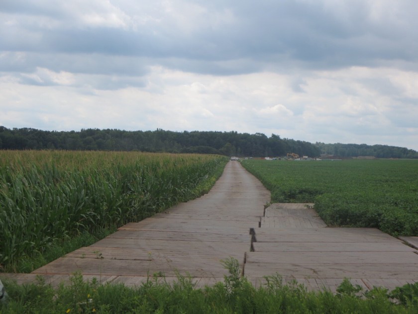 5F3F2D28-ED92-4640-AD3B-0E3A79FDB87A