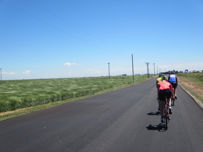 60C5AE92-1B17-4404-A5E4-29C88853E235