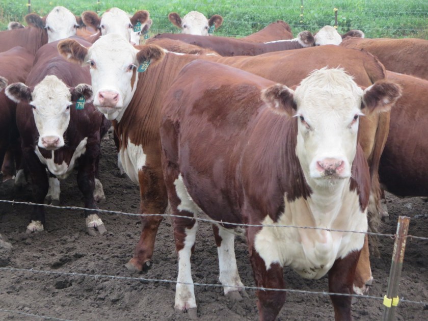 67CE620E-1BD0-4766-9444-921CB6764F6F