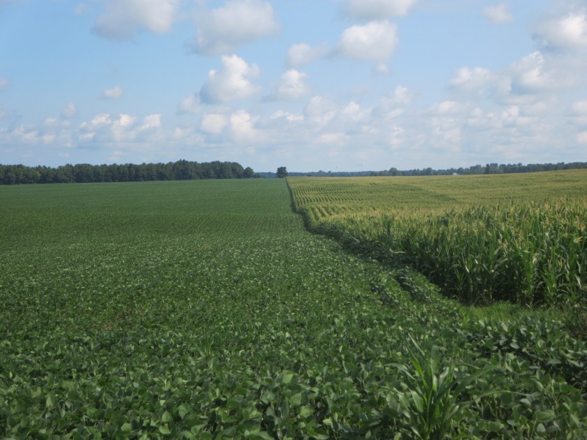 6C0DCCE5-FAA8-45CC-A8C1-B1D68A7943D9