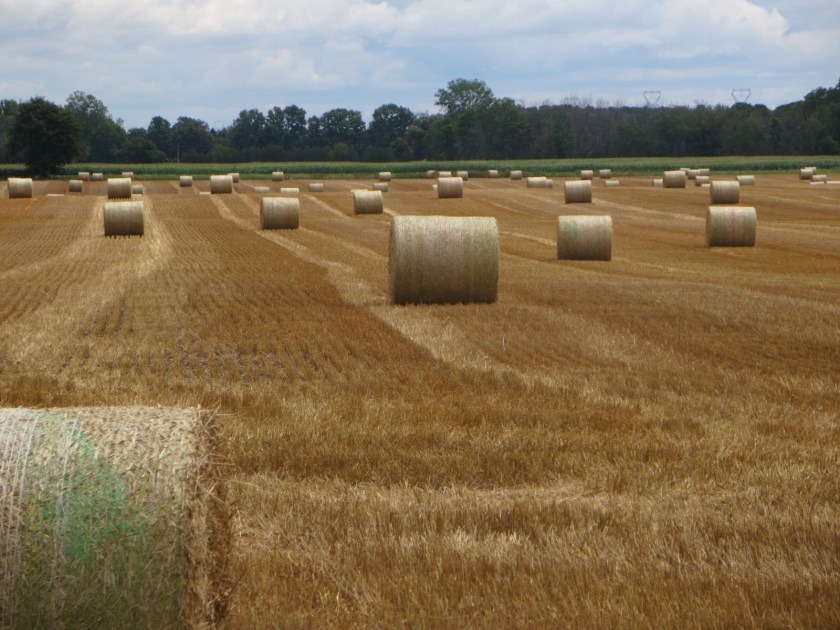 6C7D9063-F4EB-4C58-A5DB-80BAD2366C4C