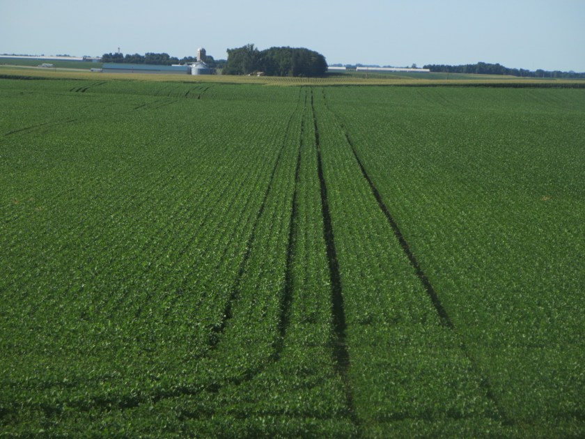 6CE147E7-12EF-4D52-8C3A-F7BADE6B6CDE