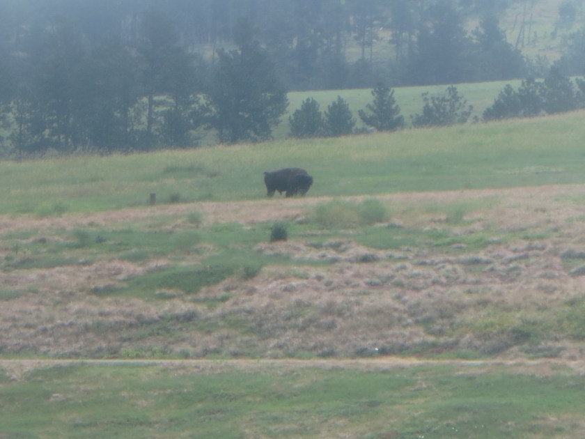 6E89928F-326C-41C8-B2C9-C50A4926080C