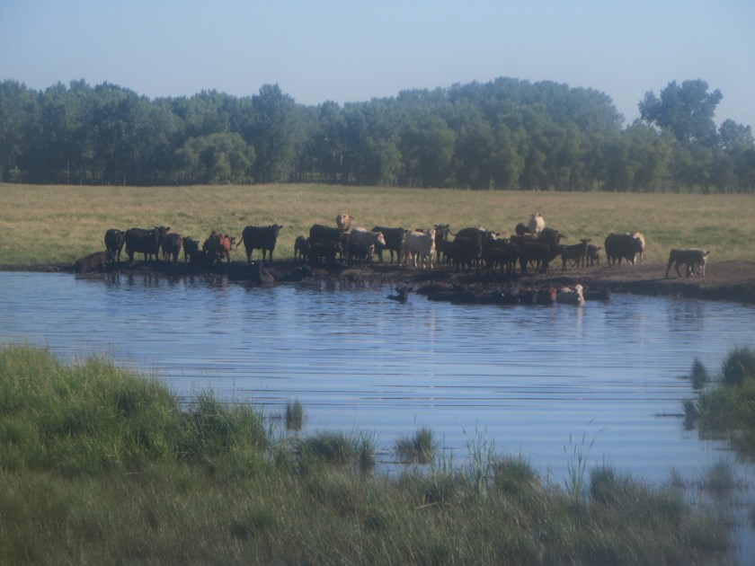 7FBBABEC-C6A9-4BC0-B8BD-46D73FAF4486