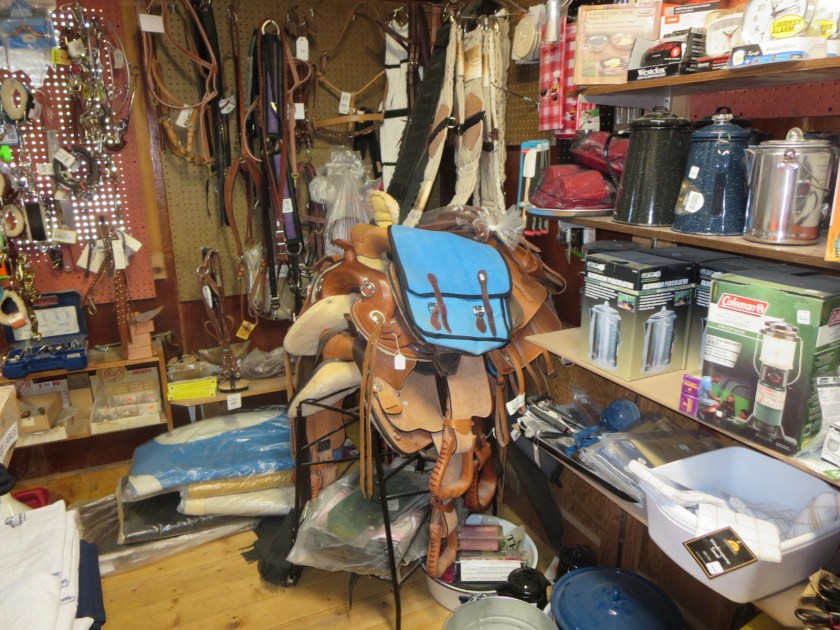 80DAB171-C3B5-43B5-A88A-58B077BD9D20