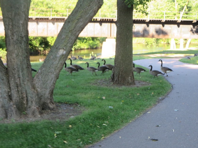 81824C94-4349-4529-B6BA-250EB61B9514