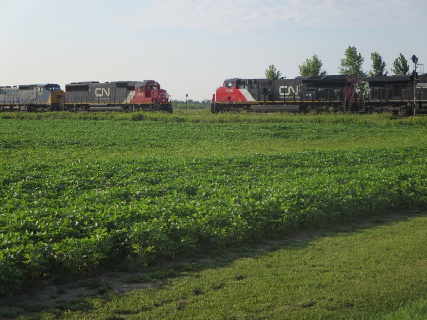 845D4F36-32A9-43CE-99EF-50A385023D1C