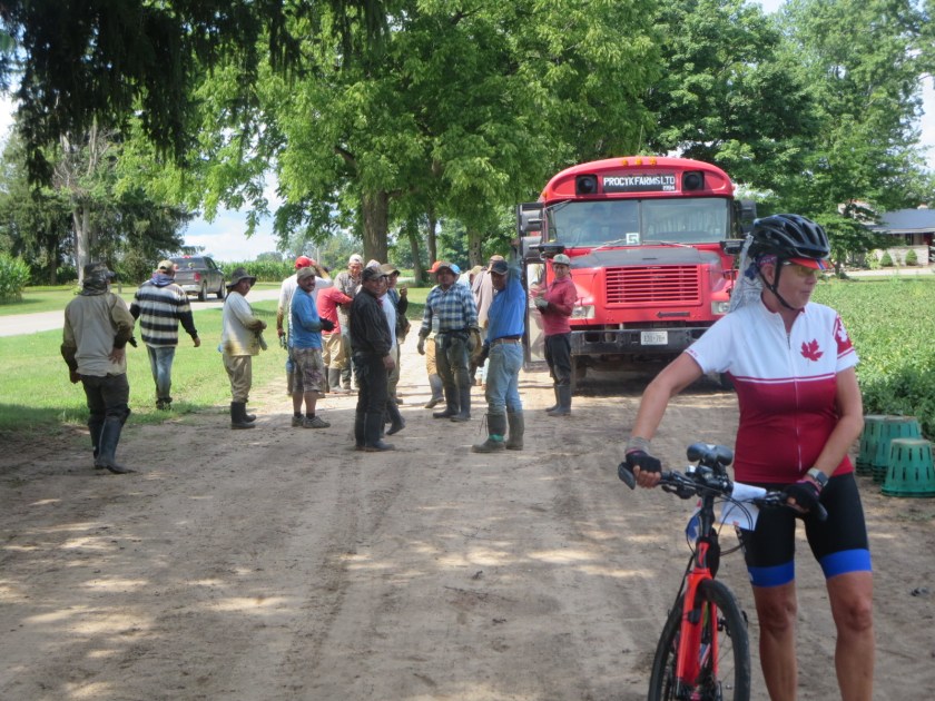 8783131C-53D7-4204-B456-12F07A6026DA