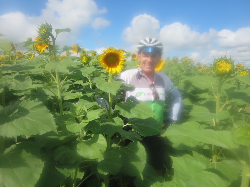 8C02314A-CB51-4511-91DD-FFE7C9ADB780