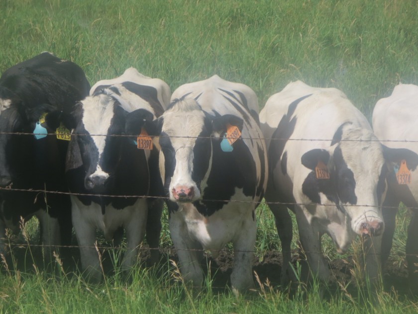 8C8C117B-D6CC-410C-A7E0-41C49DE6ECF5