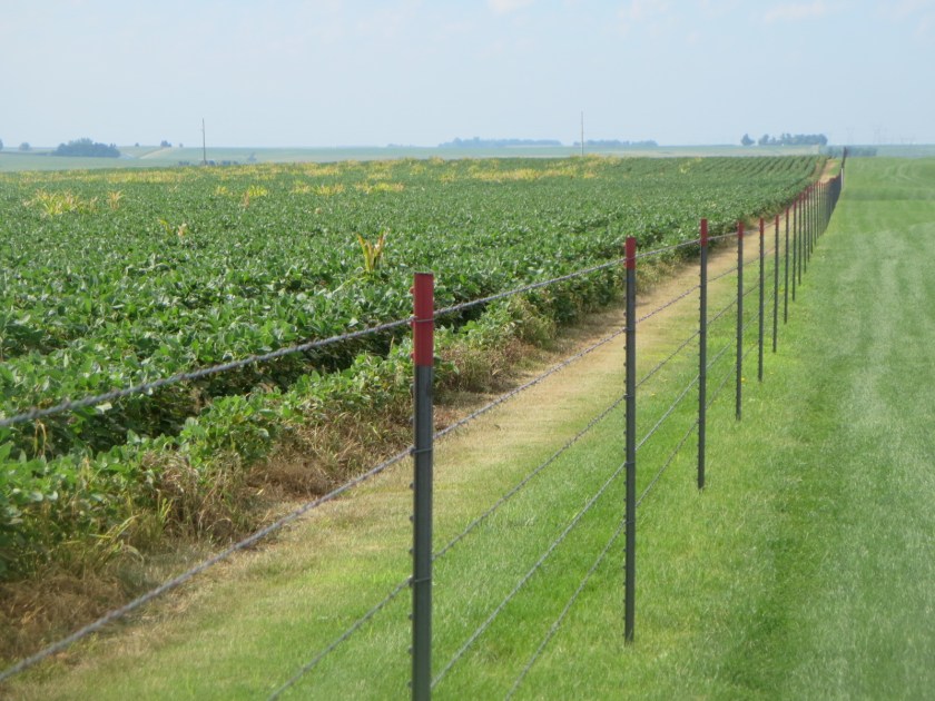 96B48C1F-5BCD-4DE3-BC91-82DA9D089277