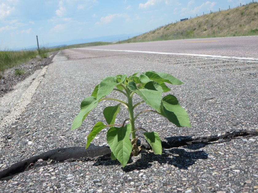 9E024C9C-4E0E-45F3-AEEF-F04046B9448A