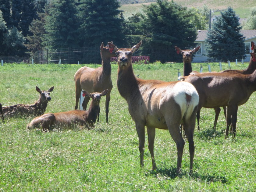 A4A66113-9FC6-42C0-A2AA-8B76A5866ED2