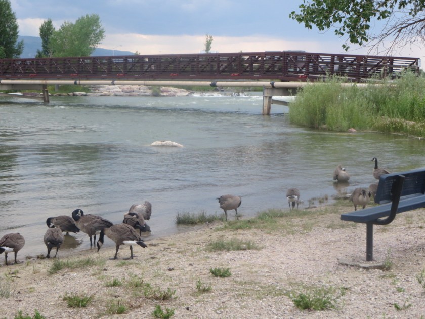 ACFFF034-DFC6-4E2E-A06C-1DCCBB85A0AB