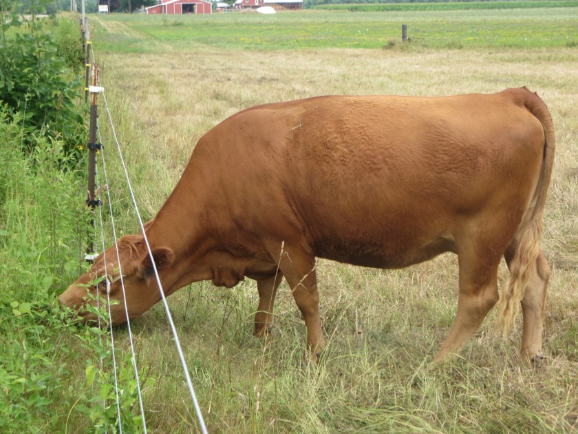 AF2AD5B8-0F14-4D8D-992B-E3711813D03A