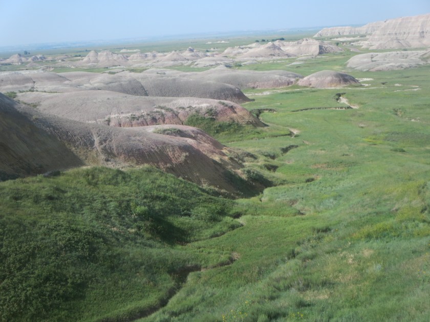 B82E3516-0D95-46D1-BCAD-1D35B1CC79FB