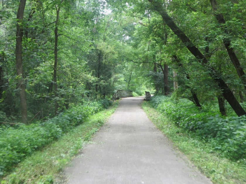 C513F75D-38E4-40FF-8F13-05E31685DEAF