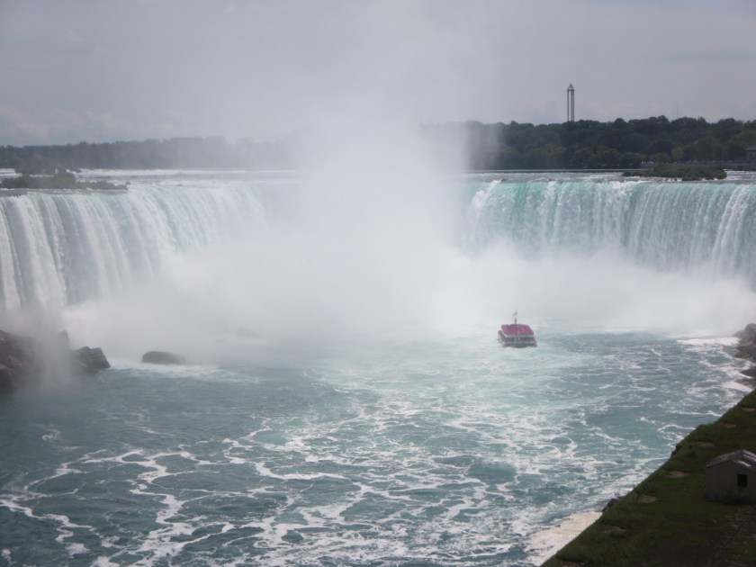 C7D2ACA6-D5AD-4C86-8240-6B87E4A7A55E