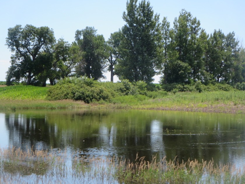 C9310097-9B8A-4B36-BD1B-DFBB2B6979F0