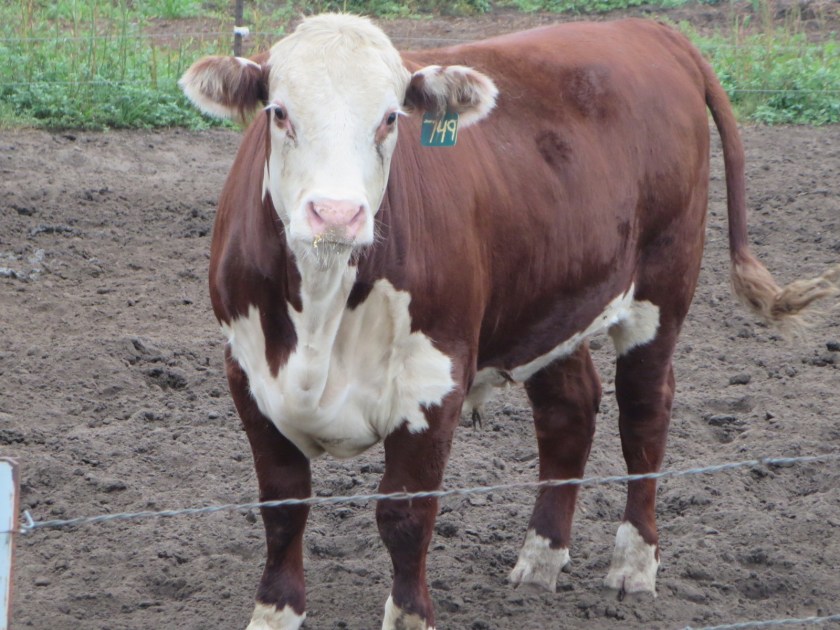 D77A2CE4-76E5-49C2-AE21-2A74555395DF